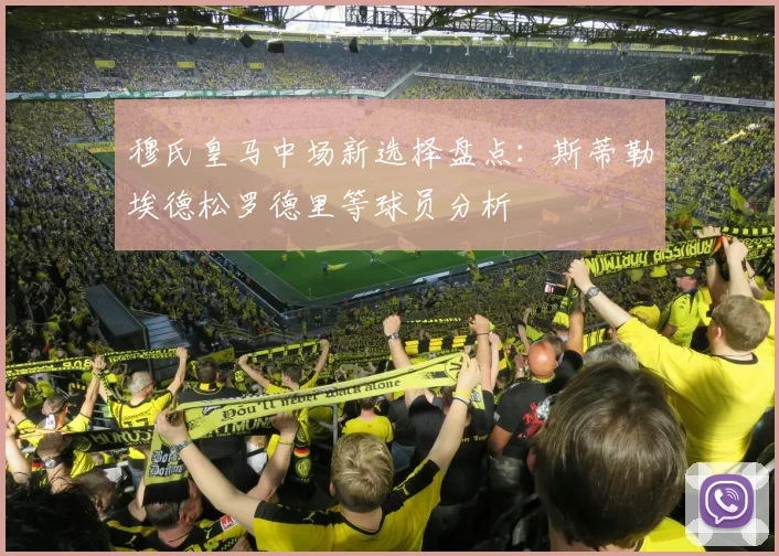 穆氏皇马中场新选择盘点：斯蒂勒埃德松罗德里等球员分析